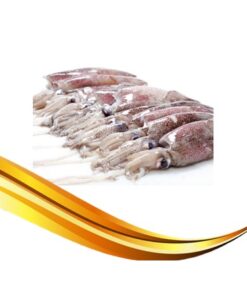 baby squid