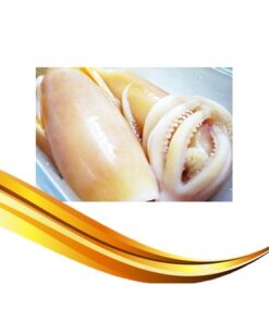 cuttlefish