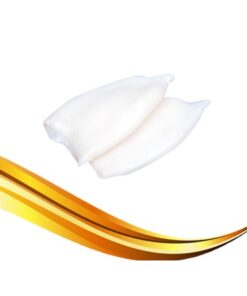 sotong tube