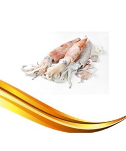 whole squid
