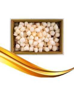 bay scallop