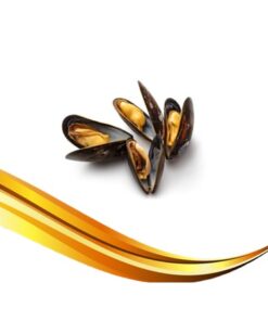 black mussels