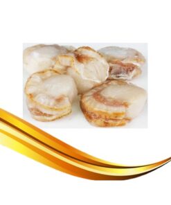 boiled scallop