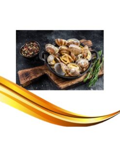 clam