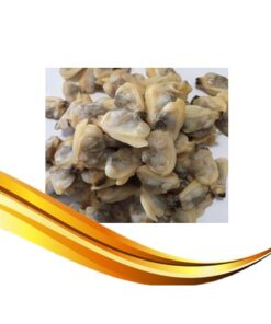 clam meat