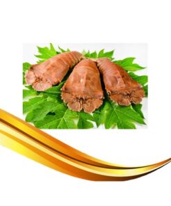 crayfish (slipper lobster)
