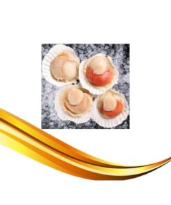 half shell scallop with roe