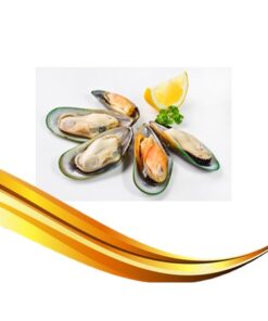 new zealand half shell green mussel