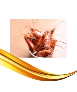 prawn head