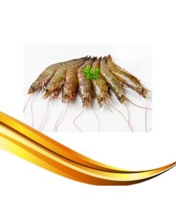 vannamei prawn hoso